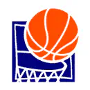Balón de Baloncesto vectorial
