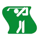 Pictograma vectorial Golf