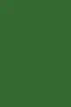 RAL 6010