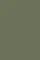 RAL 6013