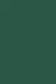 RAL 6028