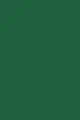 RAL 6029