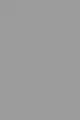 RAL 9022