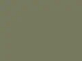 RAL 6013