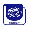 Pictograma vectorial hortalizas