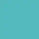 Pantone 631