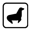 Pictograma vectorial de foca. Icono para áreas de avistamiento de fauna marina.