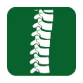 Pictograma vectorial de vértebras. Gráfico de columna vertebral y traumatología.