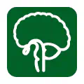 Pictograma vectorial de neurología. Icono de sistema nervioso central.