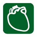 Pictograma vectorial de corazón. Símbolo de cardiología y salud arterial.
