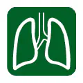Pictograma vectorial de pulmones. Icono de neumonología y vías respiratorias.