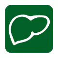 Pictograma vectorial de hígado. Icono de hepatología y salud digestiva.