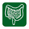 Pictograma vectorial de intestinos. Símbolo de salud intestinal y colon.