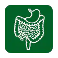 Pictograma vectorial de sistema digestivo. Icono de medicina interna.