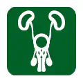 Pictograma vectorial de urología. Símbolo del aparato reproductor masculino.