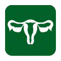 Pictograma vectorial de ginecología. Gráfico del aparato reproductor femenino.