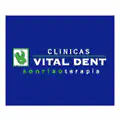 Logotipo vectorial Vital Dent
