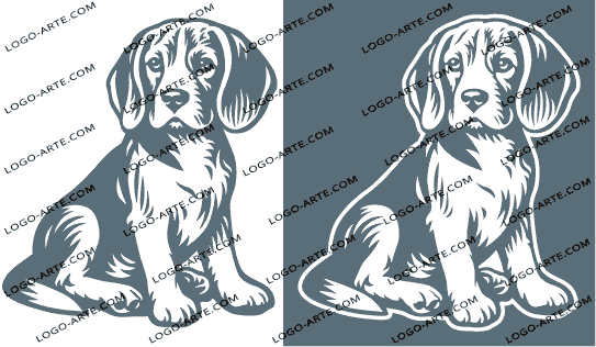 Imagens vetoriais do cachorrinho Beagle disponíveis para descarregar.
