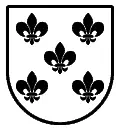 Escudo heráldico vectorial del apellido Maldonado para grabado láser en madera, placa conmemorativa y corte en plotter formato DXF.