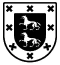 Escudo heráldico vectorial del apellido Navarro para chorro de arena en vidrio, plotter de corte y grabado láser formato DXF