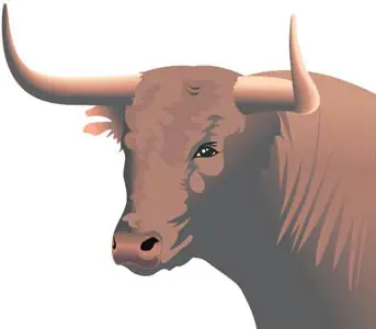 Imagen vectorial de toro mostrando sus colores