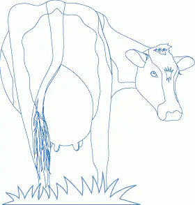Imagen vectorial de vaca mostrando sus contornos, sin rellenos.
