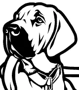 Vettorializzazione di animali, macchine, paesaggi ed elementi pubblicitari per plotter da taglio.